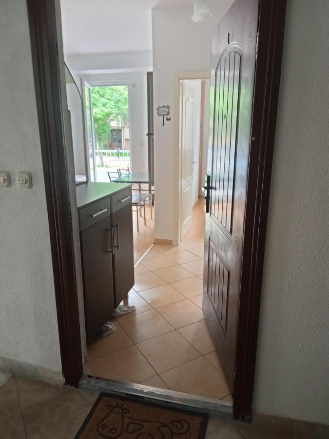 Tatjana'S Apartments Ohrid Bagian luar foto